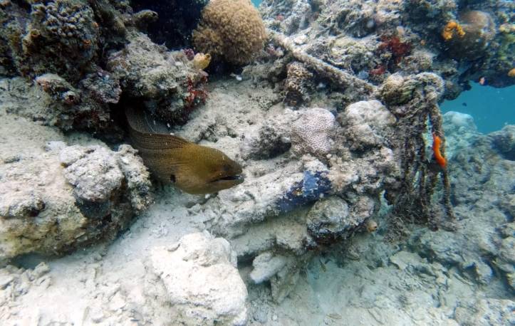 WhatsApp Image 2019-08-29 at 14.17.00