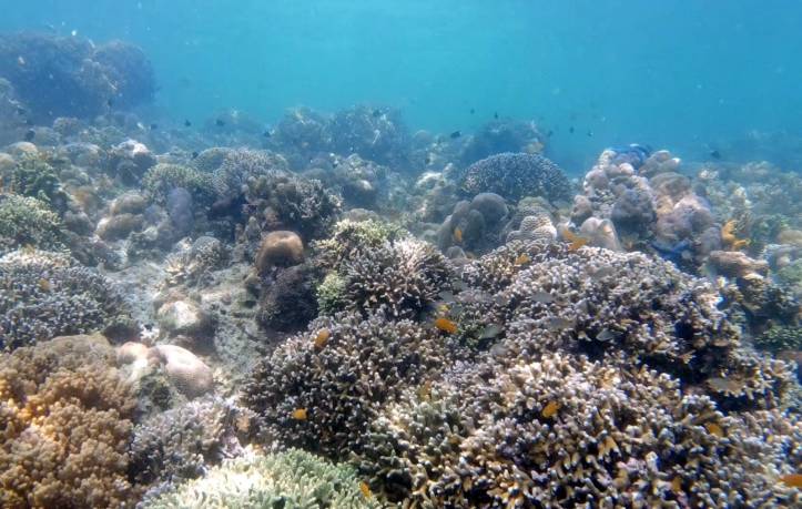 WhatsApp Image 2019-08-29 at 14.18.36