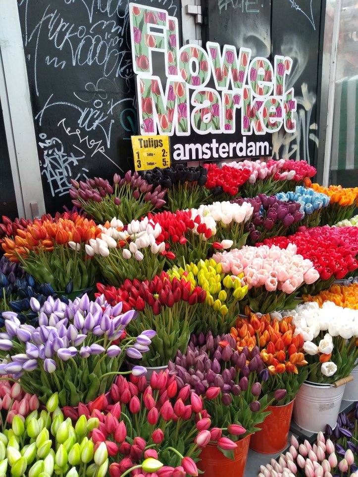 IMG_20190923_124914340